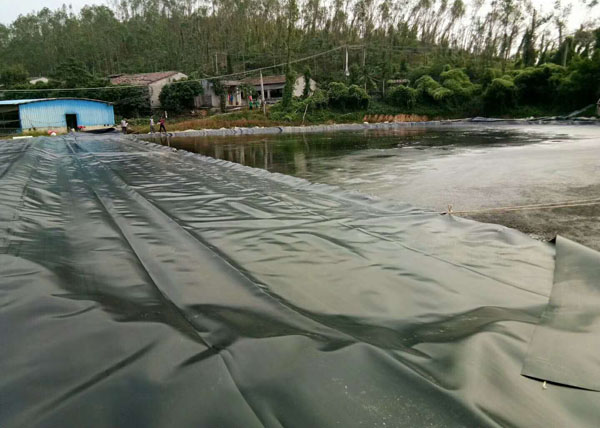 沼氣池頂膜